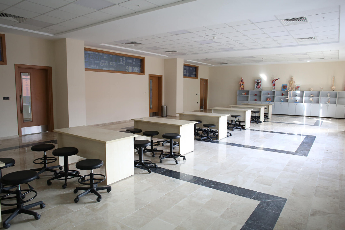 1595243049-1527147912-anatomi lab. 6.jpg